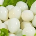 Foto de Huevos de codorniz