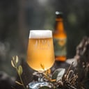 Foto de Alma Andina - "Natural Pils" (Artesanal)