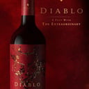 Foto de Casilero del Diablo Dark Red 750ml