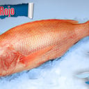 Foto de PARGO ROJO X 750 GR C/U