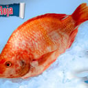 Foto de MOJARRA X 500 GR