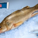 Foto de ROBALO DE MAR/ GUALAJO X 750 GR