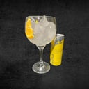 Foto de TROPICAL GIN