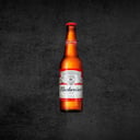 Foto de BUDWEISER