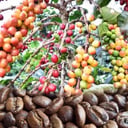 Foto de MEDIA LIBRA CAFÉ ESPECIAL