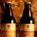 Foto de Cervezas 600 ml
