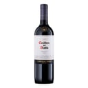 Foto de Casillero del Diablo