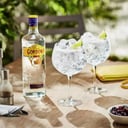 Foto de Gordon's (botella)