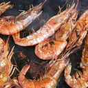 Foto de Langostinos a la plancha