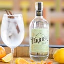 Foto de Terrier Citric