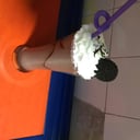 Foto de Oreo