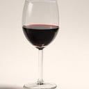 Foto de CONCHA Y TORO COPA