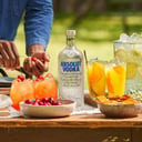 Foto de VODKA ABSOLUT MEDIA