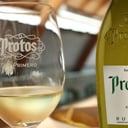 Foto de PROTOS BLANCO RUEDA VERDEJO