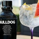 Foto de Gin Premium