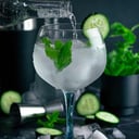Foto de 630- Gin Tonic