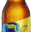 Foto de Aguila