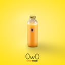 Foto de Naranjada 500 ml
