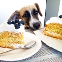 Foto de Tortas de Cumpleaños 