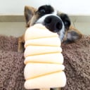 Foto de Paleta de Mandarina