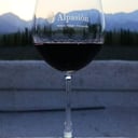 Foto de Vino por copa/Wine by the glass
