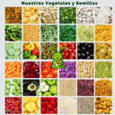 Foto de Nuestros ingredientes 🍏🍓🥒🥦🥑🍅🍍🥕🧀