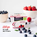 Foto de Yogurt Helado Frutos del Bosque o Maracuya