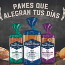 Foto de Pan Multisemillas chico