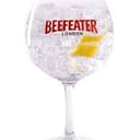 Foto de GIN BEEFEATER CON BEBIDA