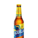 Foto de Águila Original