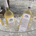 Foto de Casa Madero Chardonnay