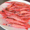 Foto de GAMBAS DE LA COSTA