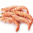 Foto de LANGOSTINOS TIGRES