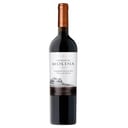 Foto de Castillo de Molina - Cabernet Sauvignon 2021