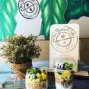 Foto de Parfait Frutos exóticos