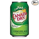 Foto de GASEOSA CANADA DRY