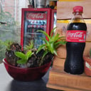 Foto de Coca-Cola Original 400ml