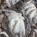 Foto de PULPO MORO
