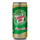 Foto de GINGER ALE 