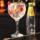 Foto de GIN TONIC PREMIUM