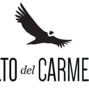 Foto de PISCO / PISCOLÓN XL ALTO DEL CARMEN 35°