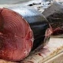 Foto de Atún albacora en porciones 