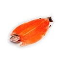 Foto de Trucha Arco Iris