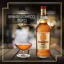 Foto de BRANDY DOMEC