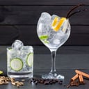Foto de Gin tonic