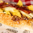 Foto de Perro Mexicano