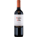 Foto de Casillero del Diablo