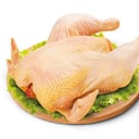 Foto de GALLINA ENTERA