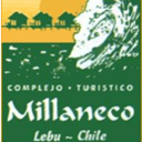 Foto de Calamares al Ajillo