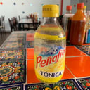 Foto de AGUA PEÑAFIEL TONICA